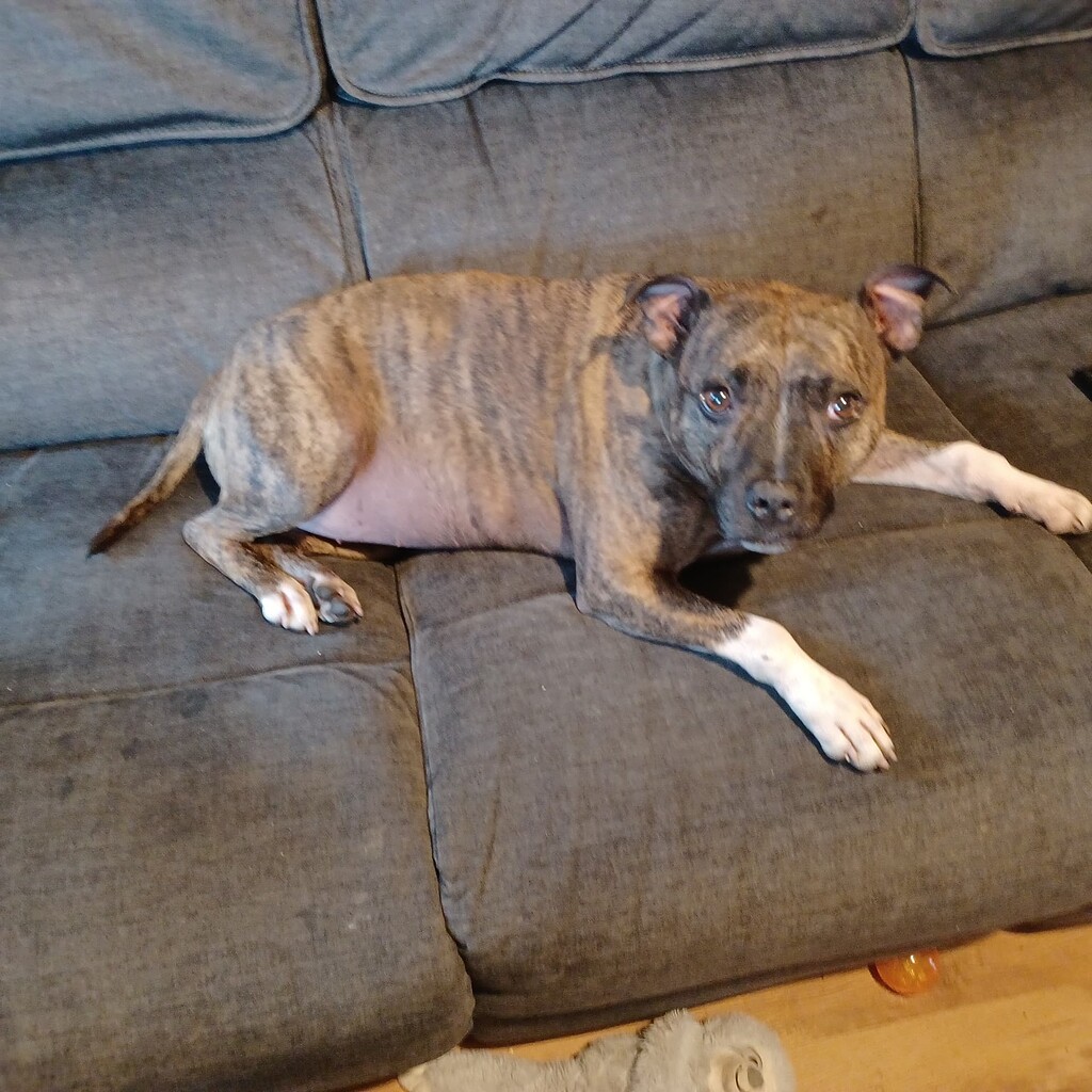 Long Range King lol - Plane 4.5 - ArduPilot Discourse