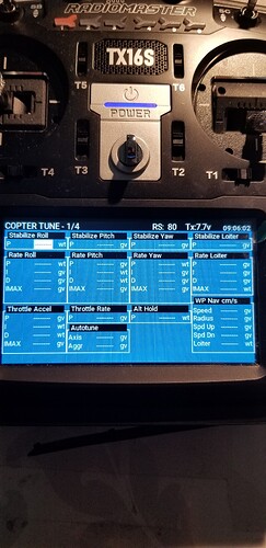 No param values on Yaapu Lua GCS
