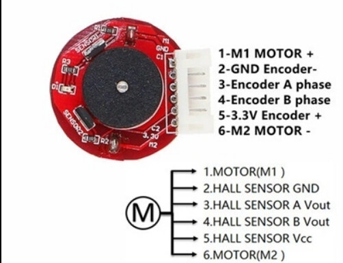 Need urgent help setting up L298N V2 motor driver and DC Geared Motor ...