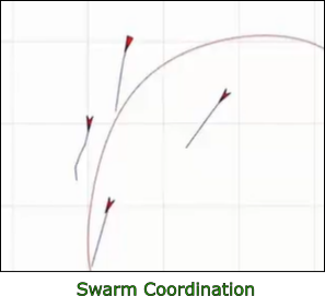 Swarm Coordination Bordered