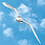 Amer_Alahmad