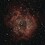Dave_Smith1