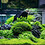 Hieu_Dang