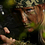 JKSniper1